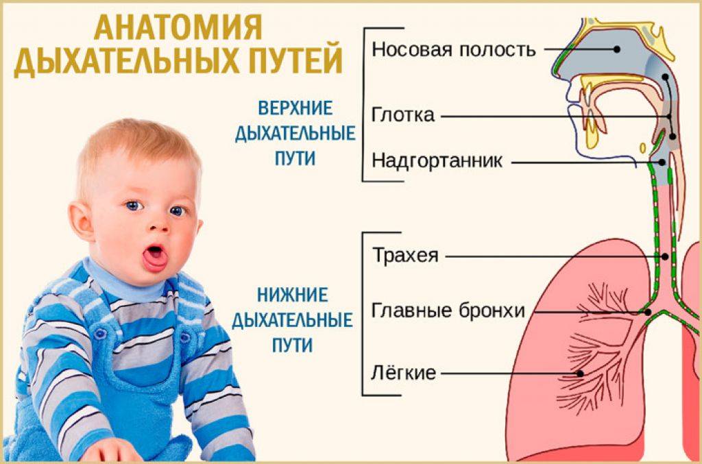 Сухой кашель у грудного ребёнка – как и чем лечить?