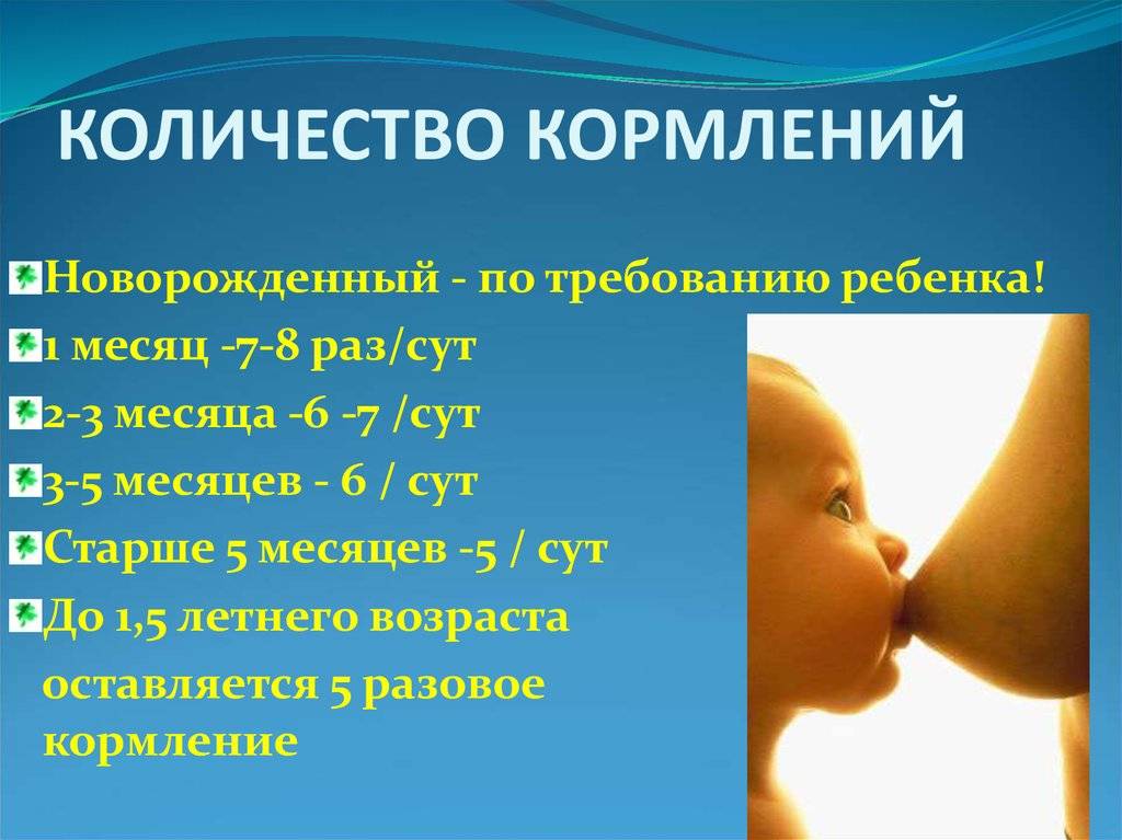 Cколько по времени кормить новорожденного грудным молоком