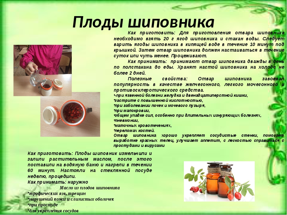 Секрет популярности, польза и вред шиповника в народной медицине. польза шиповника для детей и взрослых, возможный вред - автор екатерина данилова - журнал женское мнение