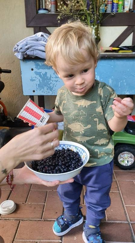 Черника для детей: польза и вред ягоды, когда можно давать ребенку?