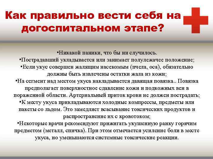 Что делать, если укусила пчела или оса?