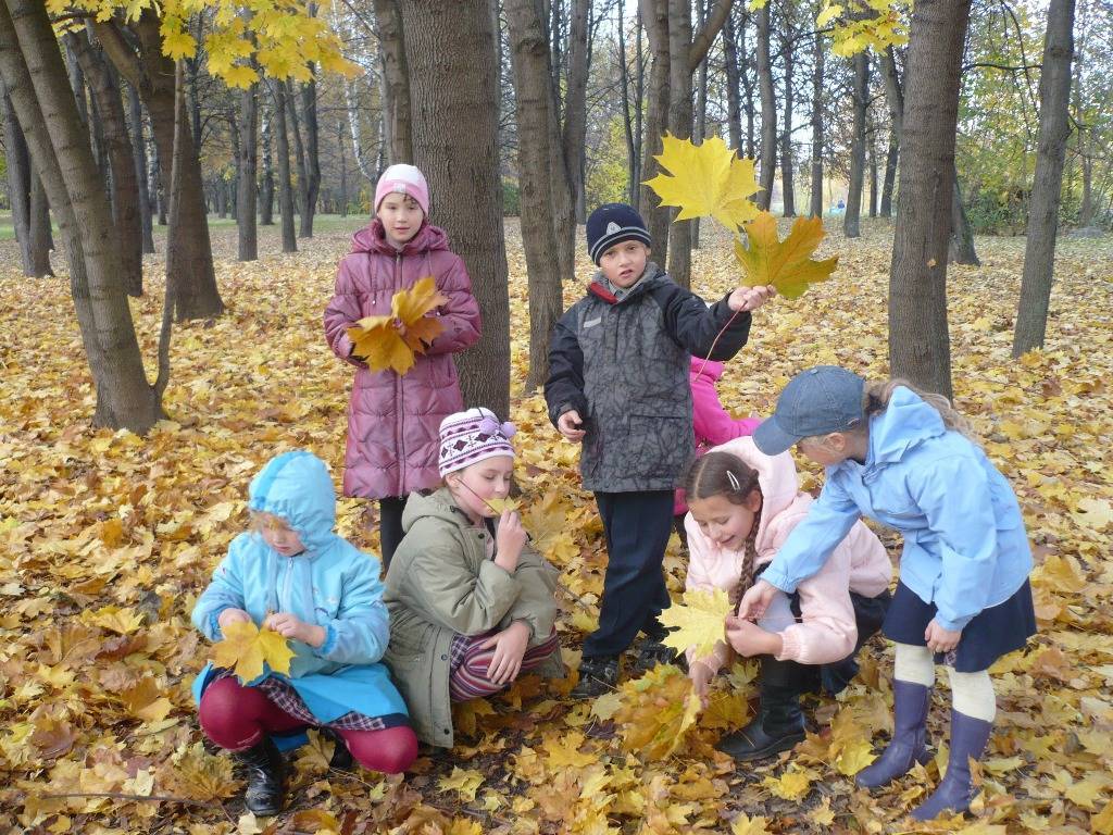 Осенние игры для детей: сюжетно-ролевые и логоритмические игры