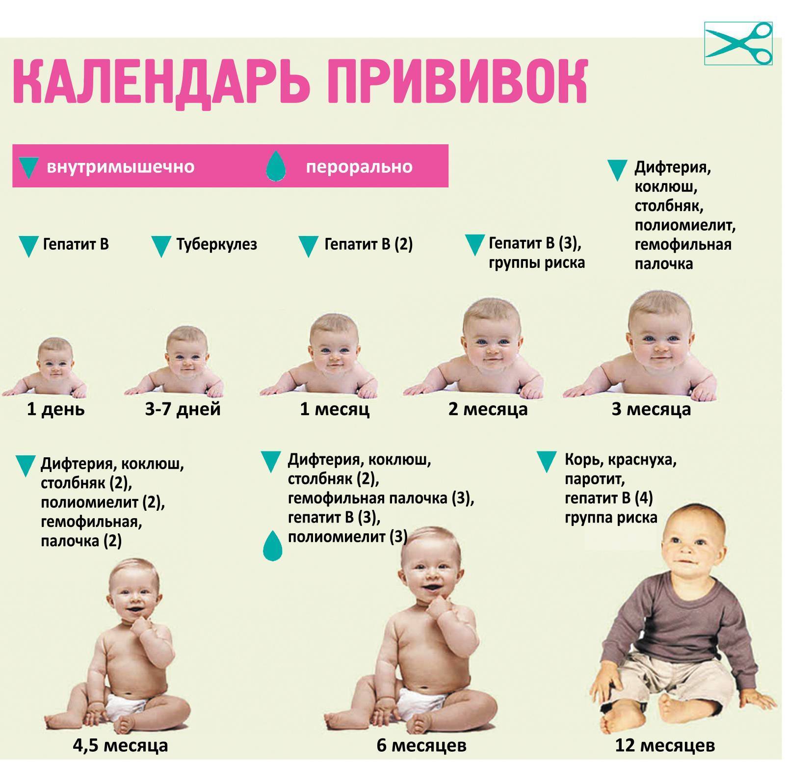 Прививки детям до года: таблица и какие делают в 2020