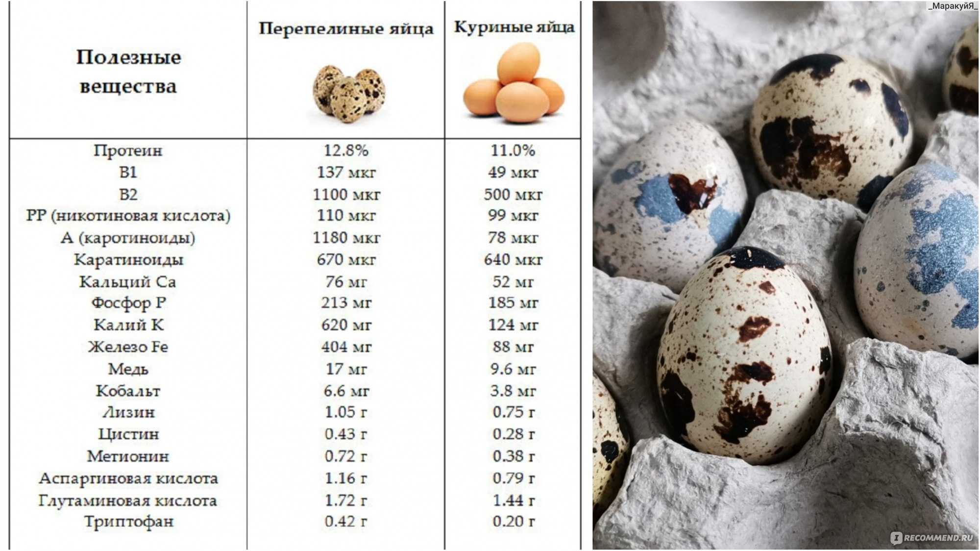Сколько варить перепелиные яйца для ребенка