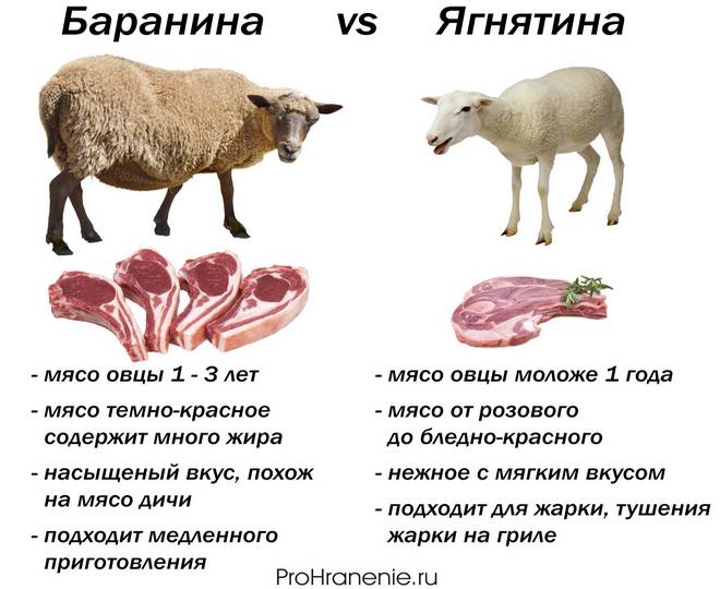 Когда можно давать баранину ребенку