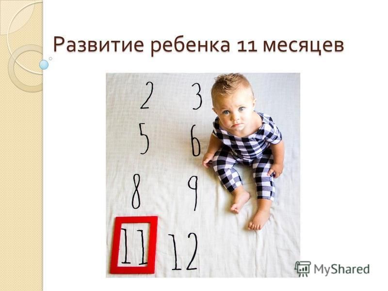 11 месяцев ребенку поздравления. Развитие ребенка в 11 месяцев девочка. Развитие ребенка в 11 месяцев девочка. Ращвитьае в 10 месяцев. Навыки ребёнка в 1 год и 10 месяцев.