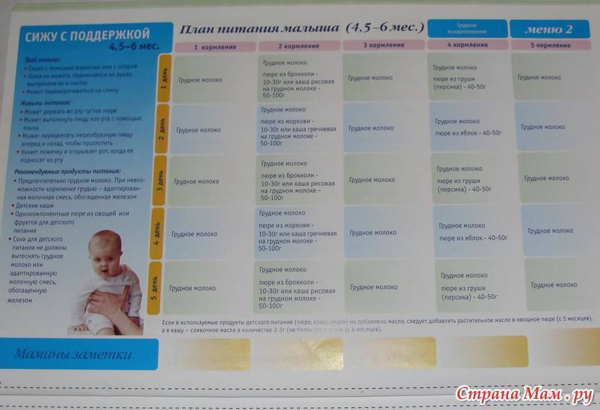 Развитие ребенка в 5 месяцев: почти ползаем, болтаем, активно интересуемся окружающим миром