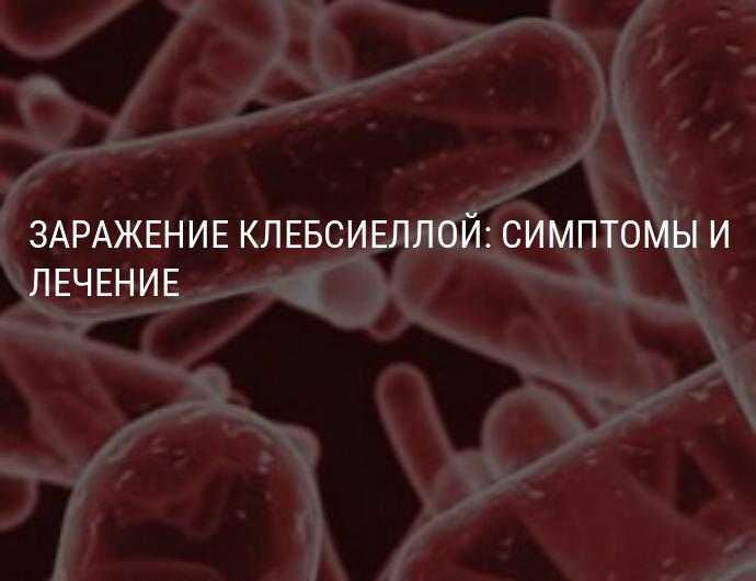 Симптомы и лечение клебсиеллы у грудничков - все для очистки организма