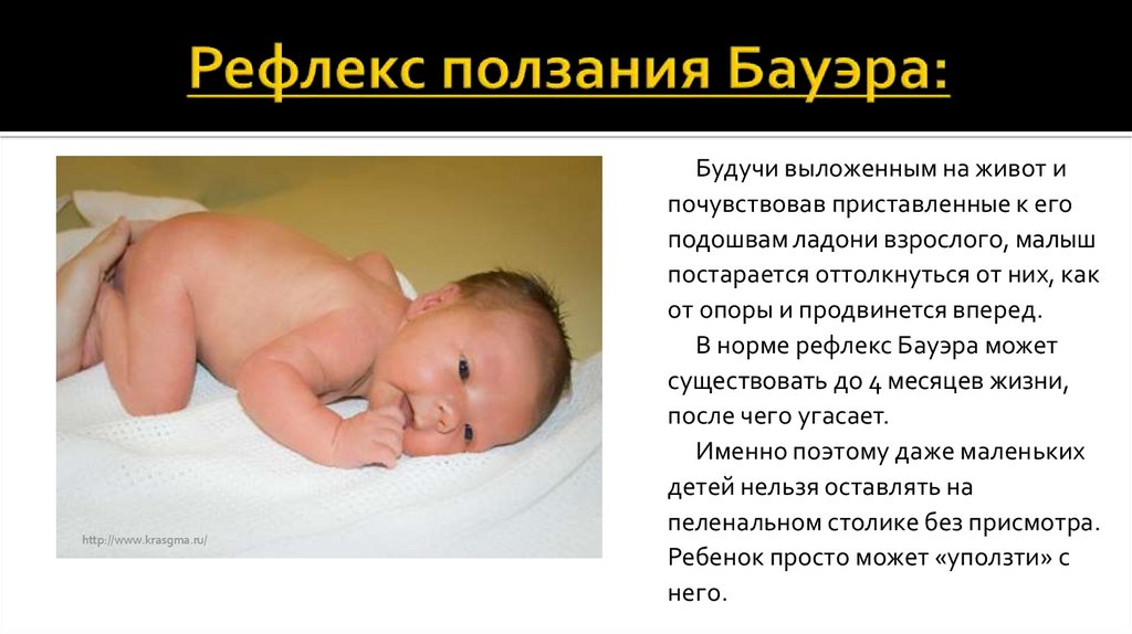 Формирование рефлексов новорожденного — таблица по месяцам и подробное описание