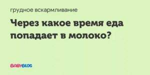 Через сколько еда попадает в грудное молоко? список продуктов