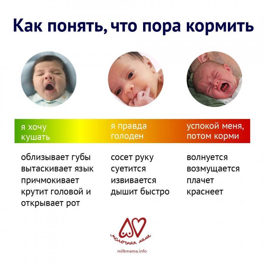 👶ответ эксперта: почему ребенок плачет во время кормления грудным молоком? 👪 советы мамам при гв
