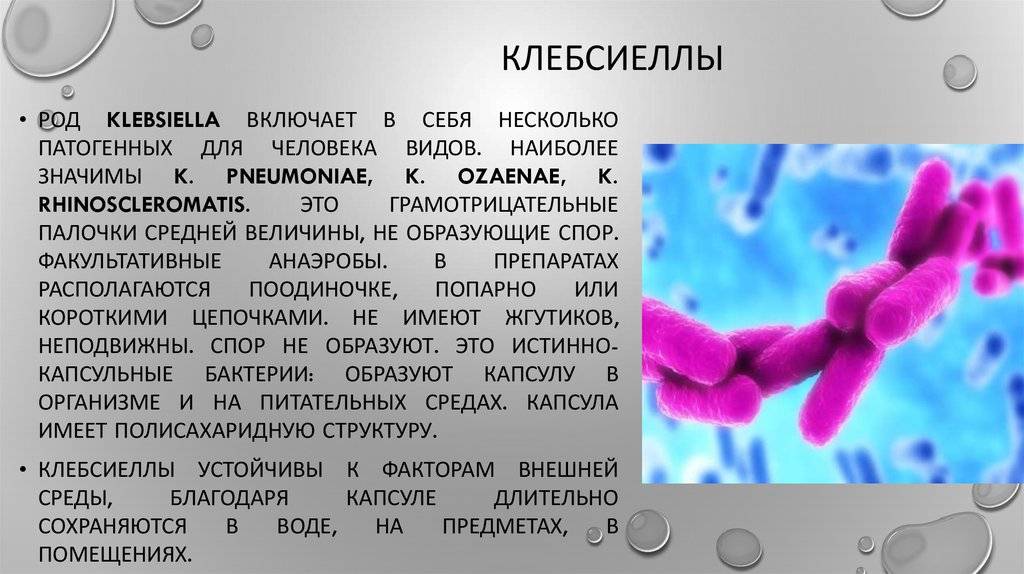 Клебсиелла у новорожденных в кишечнике - симптомы у грудничка, анализ кала, лечение | fok-zdorovie.ru