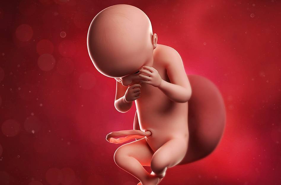 30 неделя беременности - что происходит с малышом?