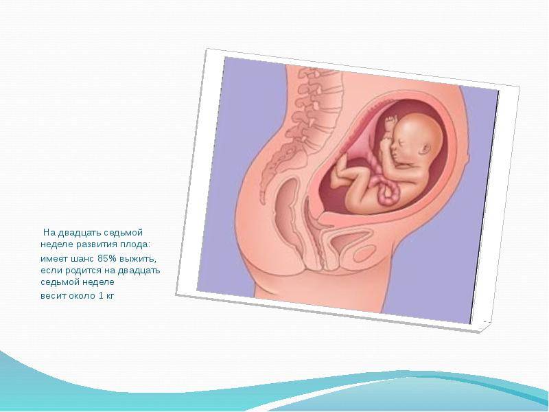 20 неделя беременности: что происходит с малышом и мамой, фото, развитие плода