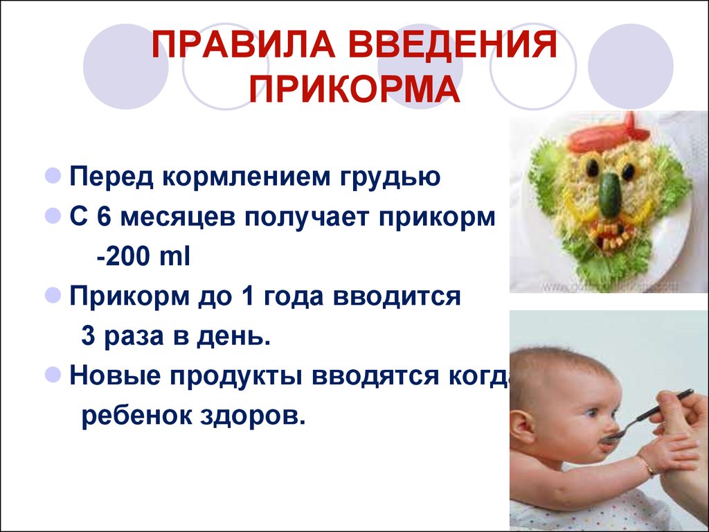 8 популярных вредных советов о прикорме и ваши адекватные действия, чтобы избежать проблем неправильного ввода прикорма в будущем - алёна понеделко