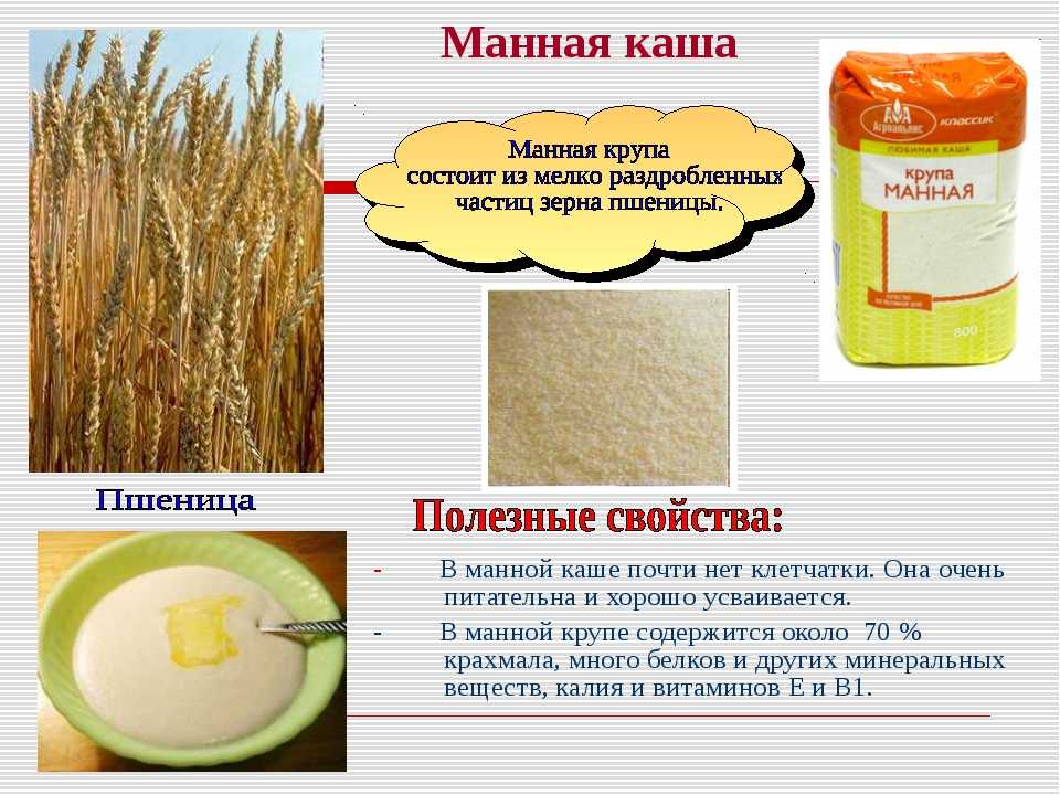 Манная каша - с какого возраста можно давать ребенку: сколько можно есть в день, комаровский