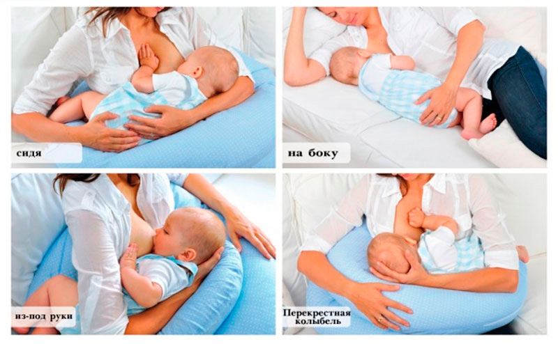 Основы успешного кормления грудью новорожденного