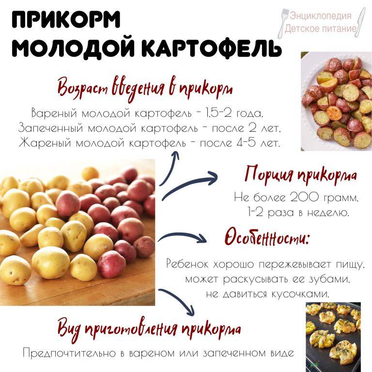 Со скольки месяцев можно давать ребенку картофельное пюре