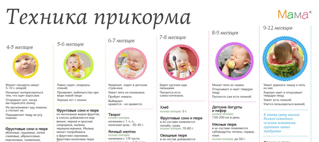Питание ребёнка до года: как и когда вводить прикорм