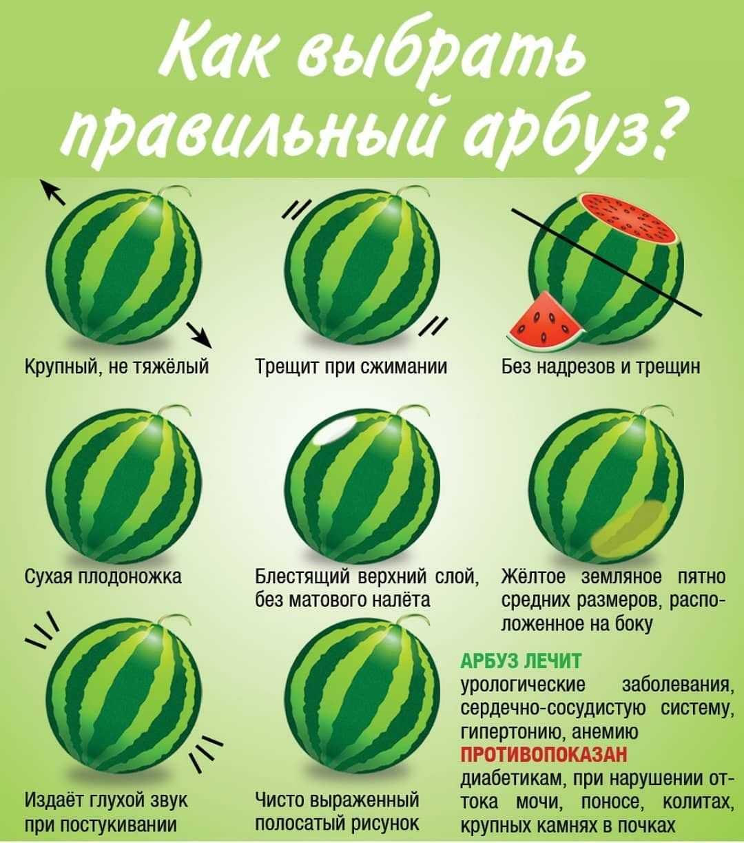 Как выбрать арбуз правильно: советы по выбору вкусного и спелого арбуза