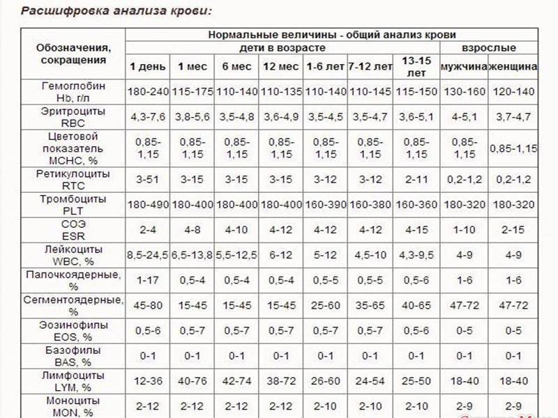 Общий анализ крови (оак): что показывает, норма и отклонения, таблицы результатов