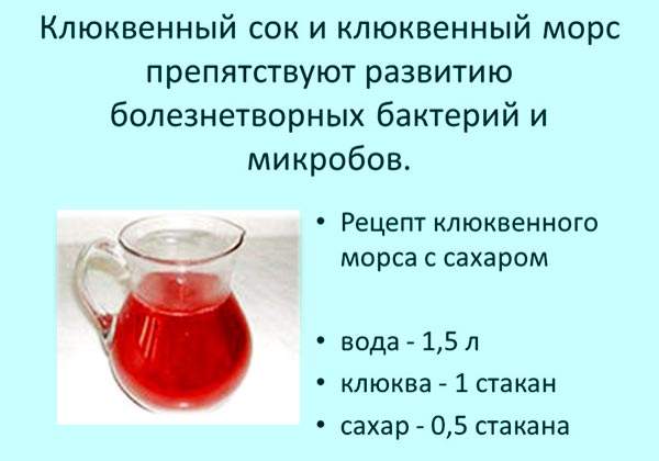Свойства клюквы, польза и вред ягоды на ранних и поздних сроках беременности, рецепты приготовления морса и компота