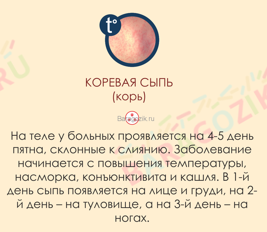 Сыпь у ребенка: на теле, спине, животе, руках, ногах, шее, основные причины и заболевания, сопровождающиеся кожными высыпаниями | азбука здоровья