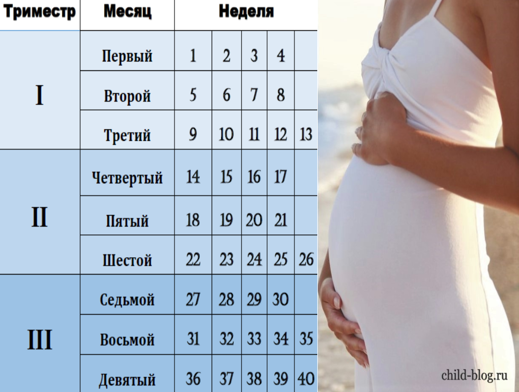 Узи во втором триместре беременности: все об исследовании * клиника диана в санкт-петербурге