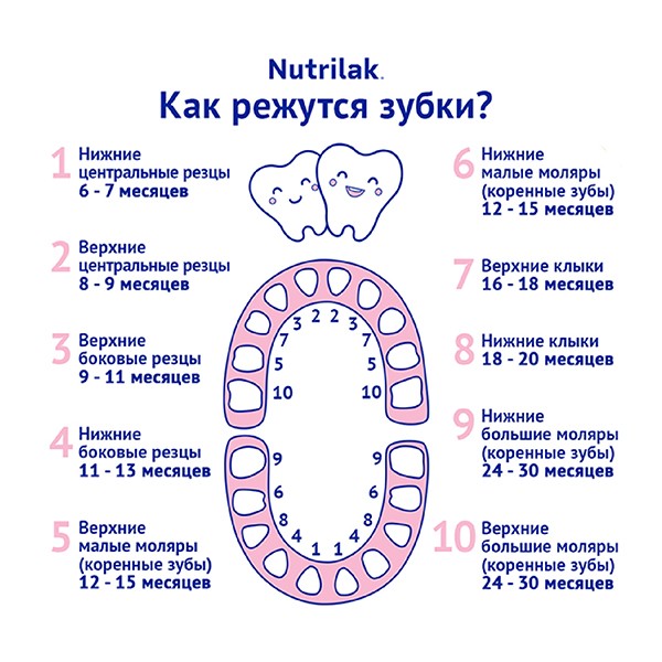 Во сколько месяцев режутся зубы у детей