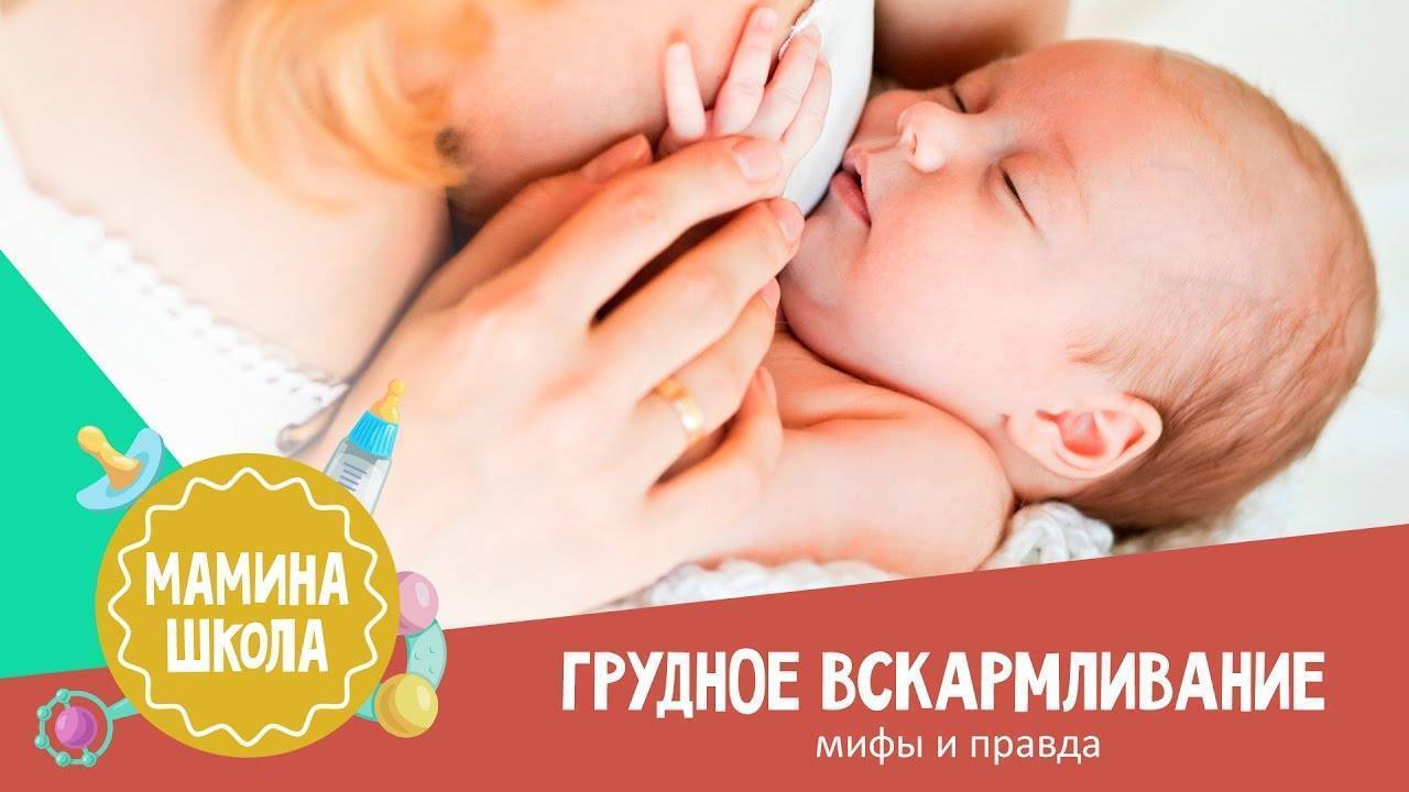 Мифы о грудном вскармливании (часть 2)