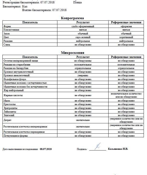 Детрит в кале у ребенка грудничка— расшифровка копрограммы
