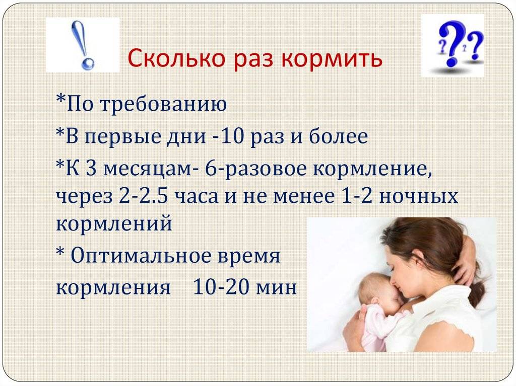 Сколько раз нужно кормить новорожденного