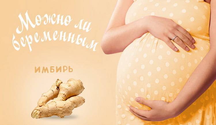 Чай с имбирем при беременности: разрешен ли и как правильно его пить