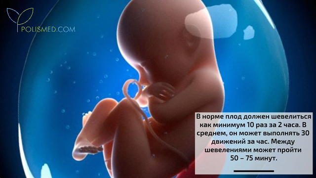 20 неделя беременности - как часто должен шевелиться ребенок и что происходит с малышом и мамой