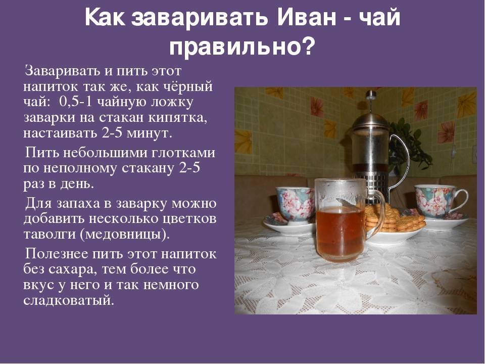 Иван-чай при грудном вскармливании: можно ли пить, свойства, как заваривать