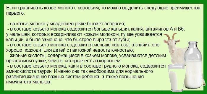 С какого возраста можно давать грудничку козье молоко