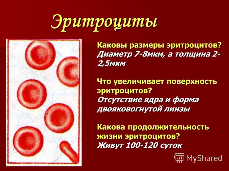 Почему у детей в моче появляются эритроциты, на сколько это опасно?