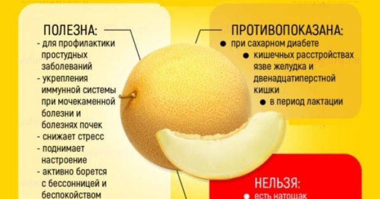Ах, эта вкусная и ароматная дыня: можно ли кушать кормящей маме при грудном вскармливании?