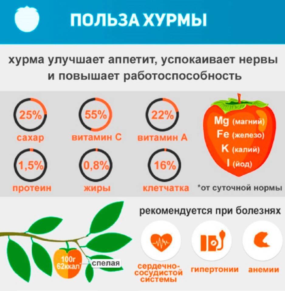 Хурма при беременности - польза, вред, правила употребления