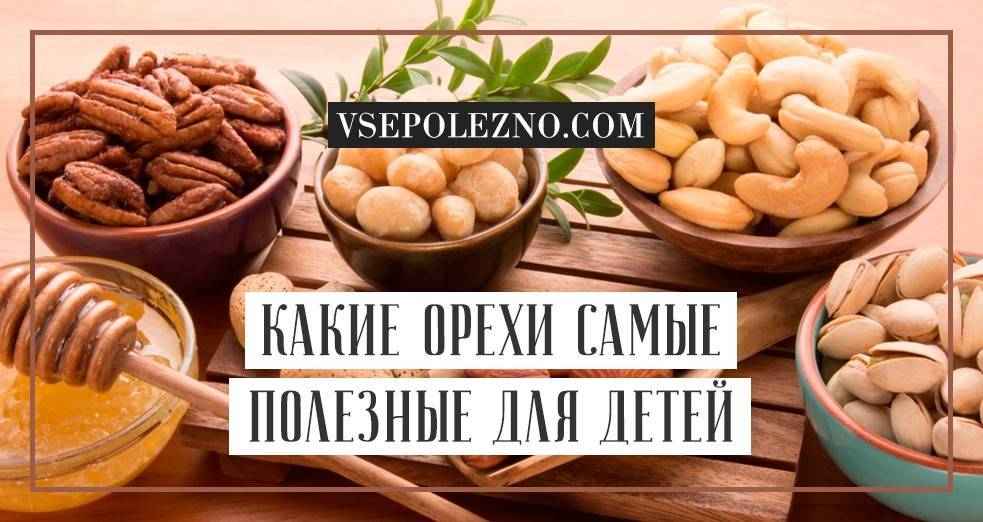 Какие орехи можно давать детям