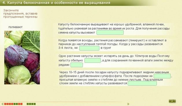 Разрешено ли маме, которая кормит грудью малыша, кушать квашеную капусту?