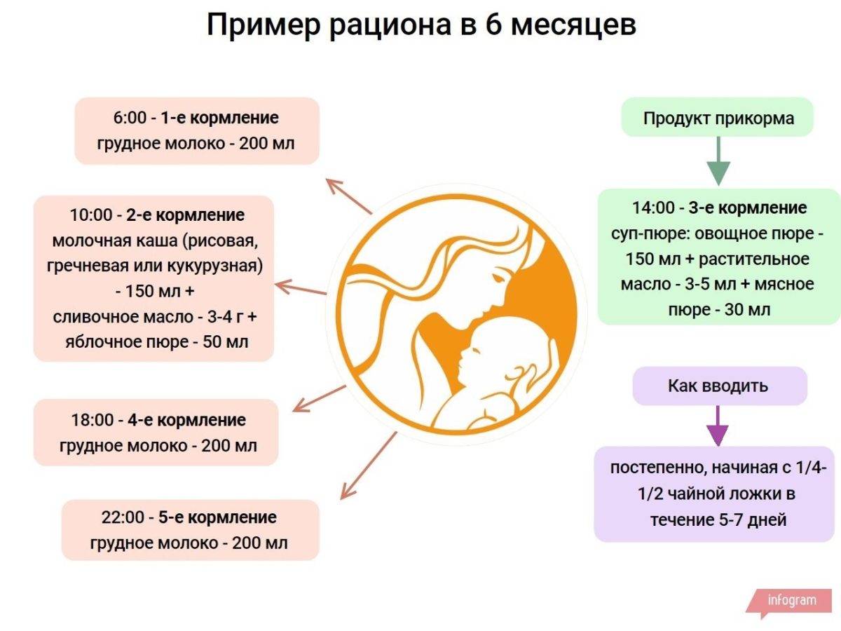 Прикорм ребенка в 6 месяцев: лучшие продукты и схемы введения при гв и ив — моироды.ру