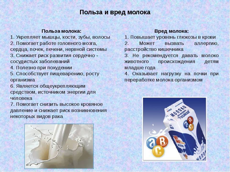 Введение коровьего молока в рацион ребёнка: 8 важных советов врача