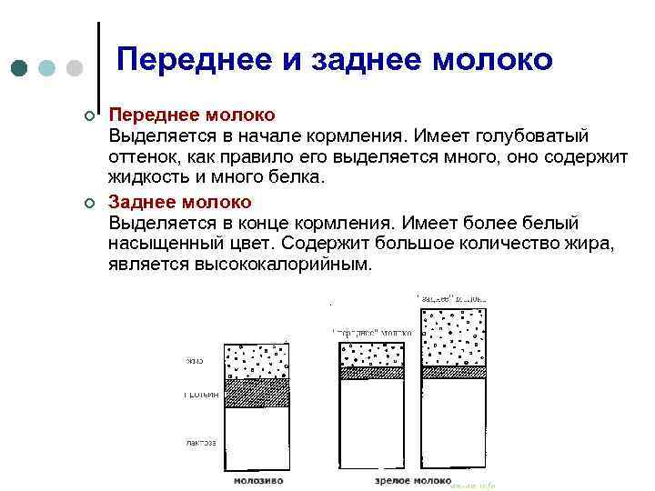 Состав грудного молока: как меняется его содержание по месяцам