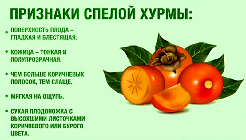 Гранат, хурма и киви при грудном кормлении: можно ли