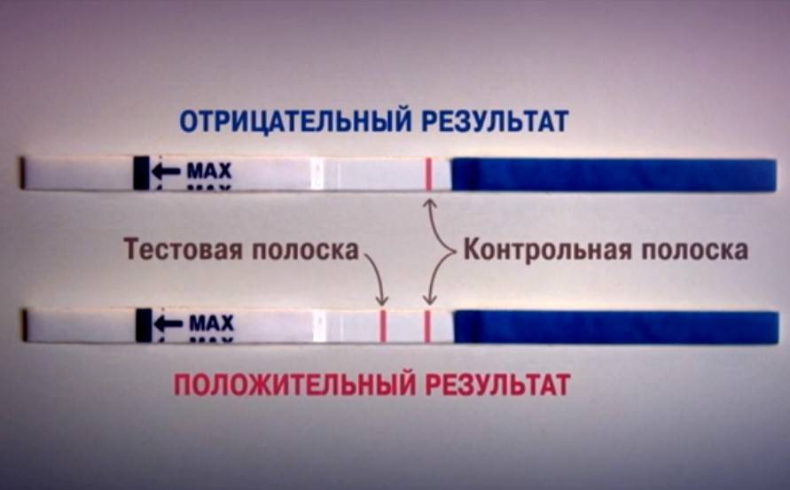 Как пользоваться тест на беременность картинки как