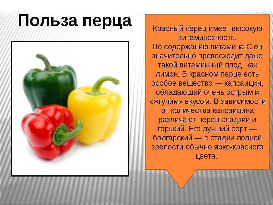 Красный болгарский перец при грудном вскармливании