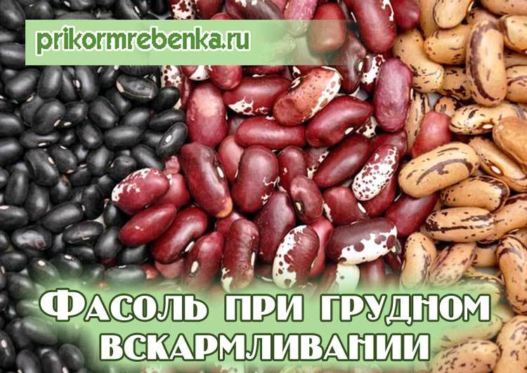 Можно ли есть фасоль кормящей маме? - ✿ «всё для мамы»