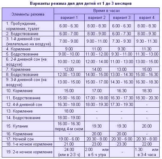 Режим дня ребенка в 11 месяцев: распорядок по часам. питание, сон, навыки 11-месячного малыша (+отзывы)