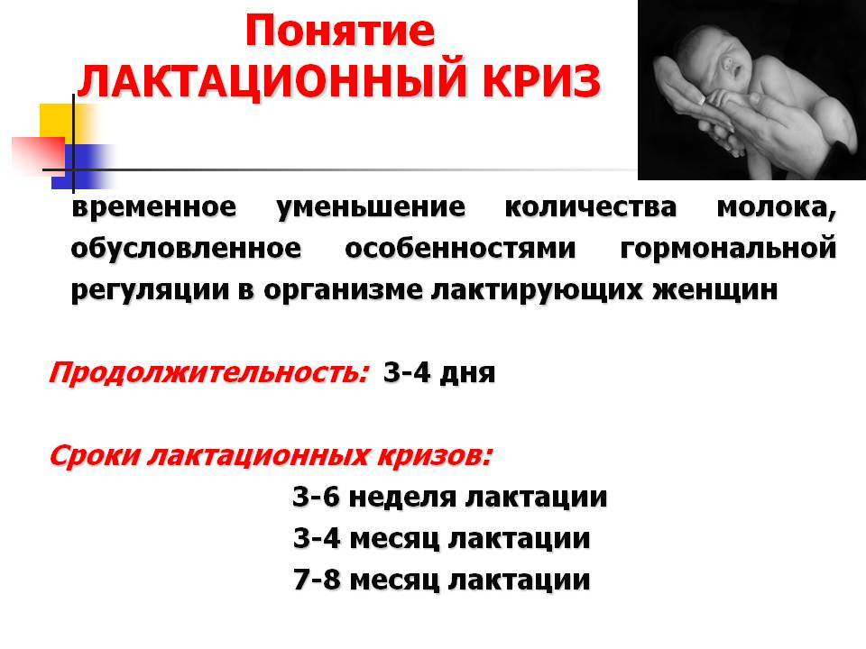 Что нужно знать молодой маме о грудном вскармливании